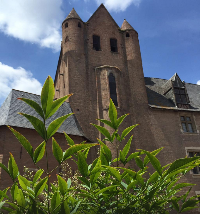 Albi rest Jardins de l'Archeveche