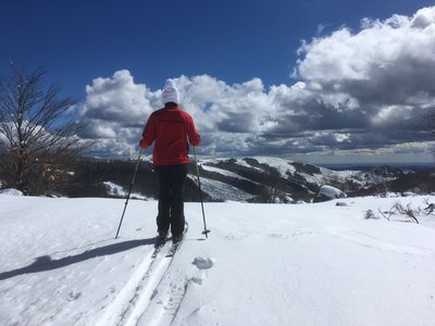 Ski de Randonnée Nordique