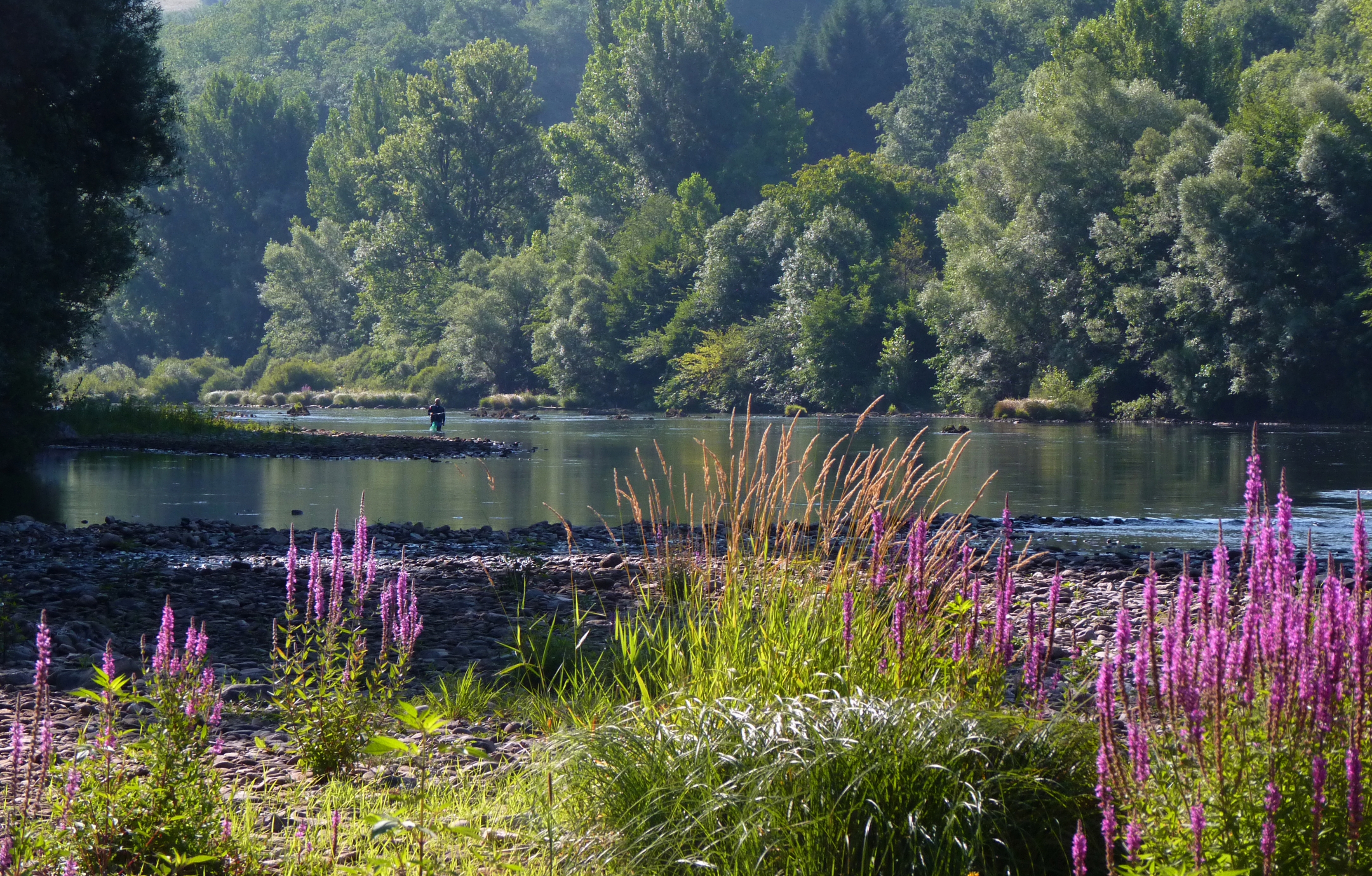 Pêche dans le Tarn