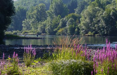 Pêche dans le Tarn