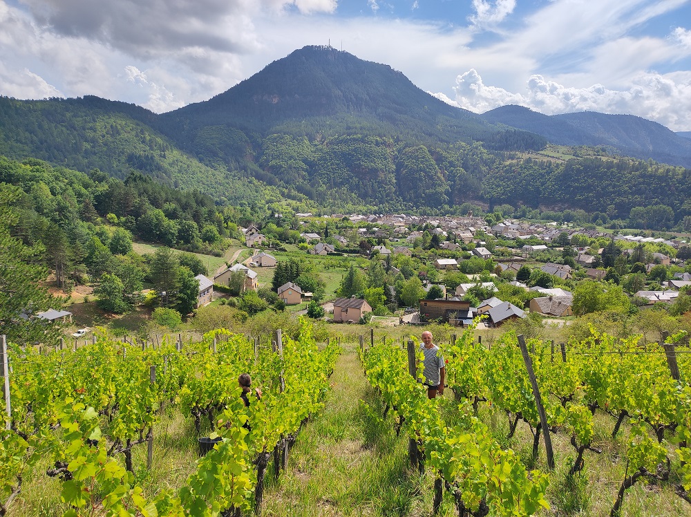 IMG_domaine marin paquereau