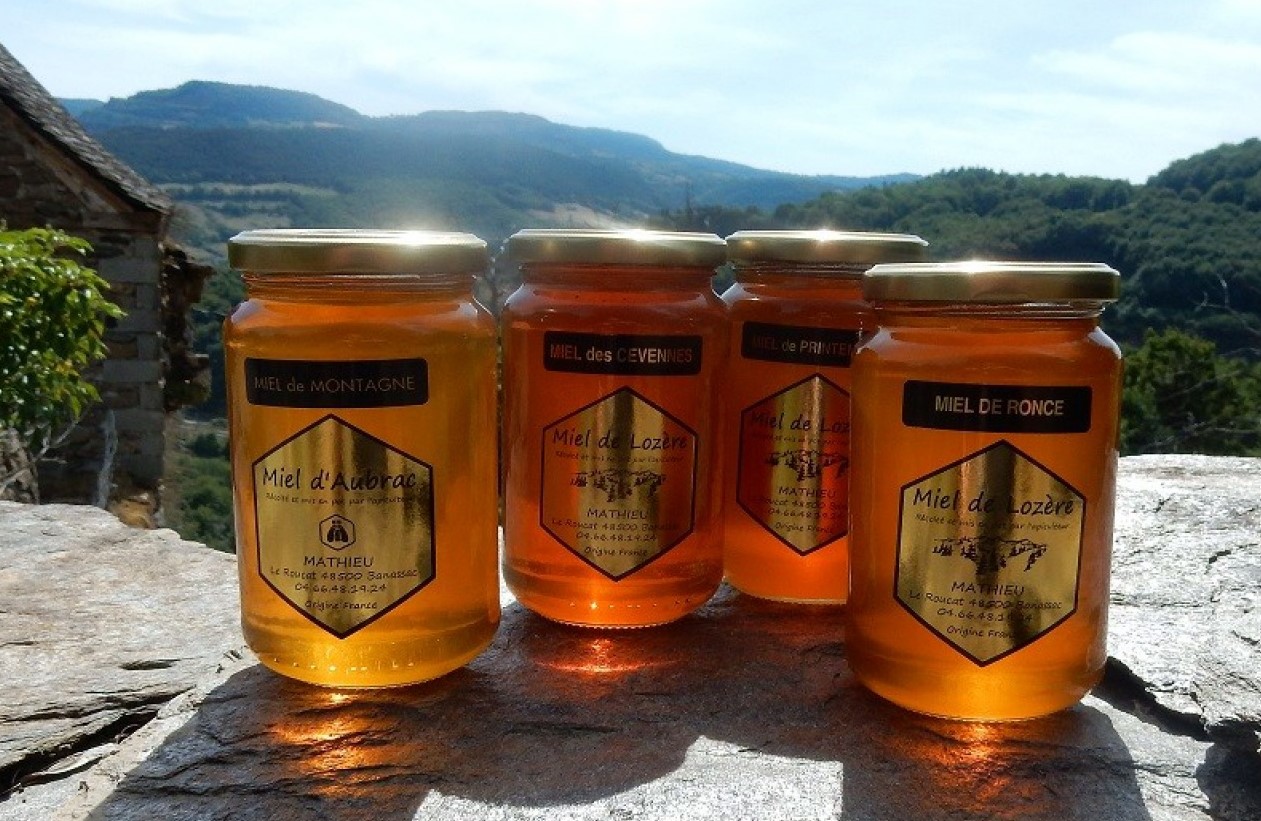 Miel de Lozère