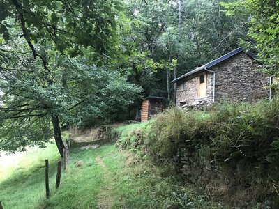Refuge dans les bois