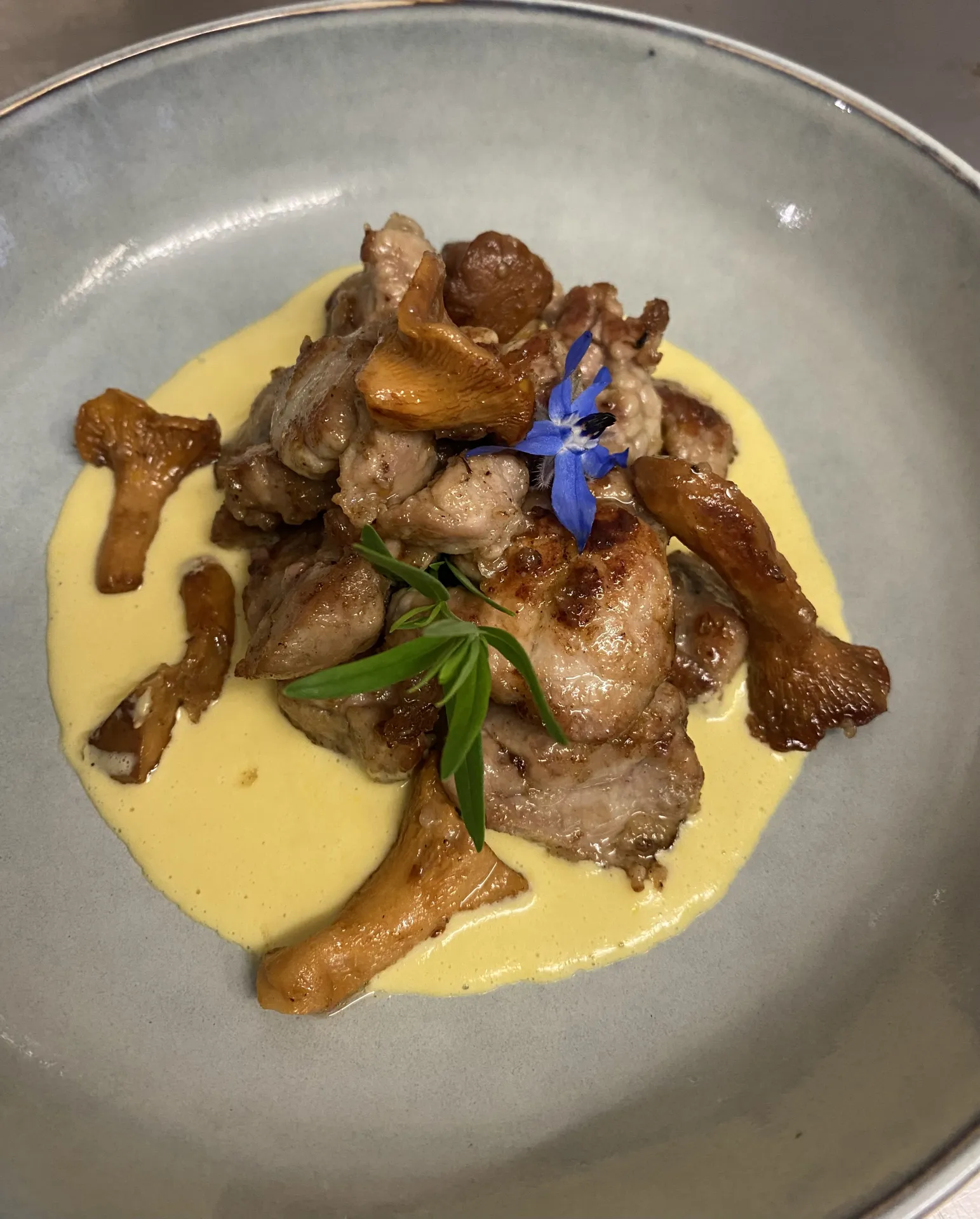 Ris d'Agneau français, Girolles