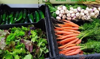La Ferme d'Agen (GAEC) - Récolte à la ferme