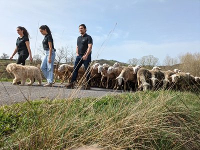 Visite à la ferme Chez Charlie et Fabien