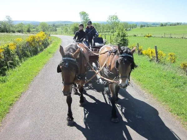 Ecole d'attelage de l'Aubrac
