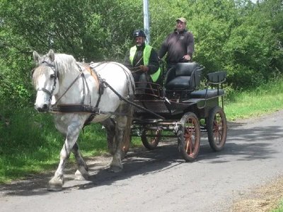 Ecole d'attelage de l'Aubrac- Cours et stages d'attelage