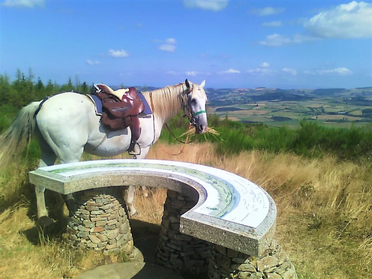 Centre équestre de la Muse