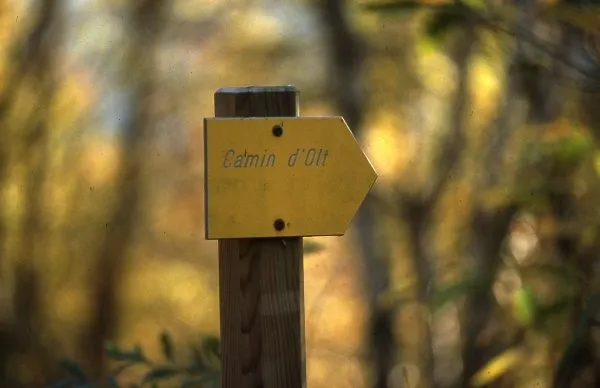 Pannonceau 'Lo Camin d'Olt'