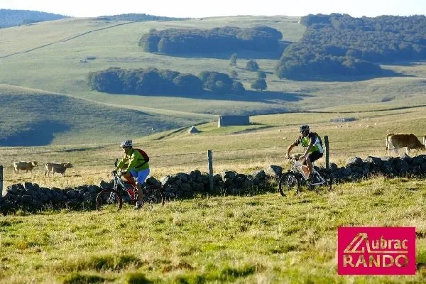 Aubrac Rando