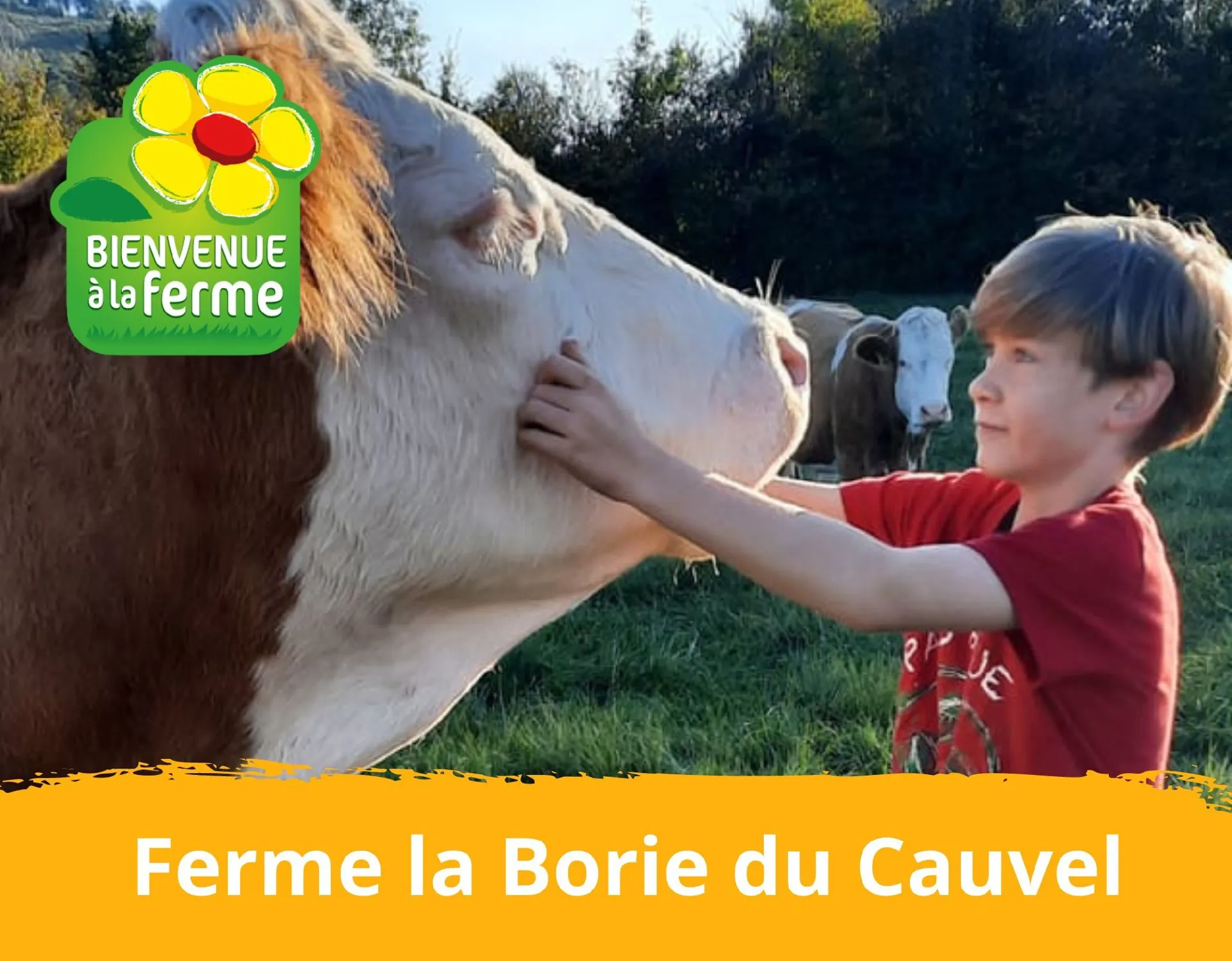 Bienvenue à la ferme de La Borie du Cauvel