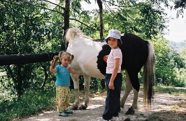 Le Batut Randonnée à poney