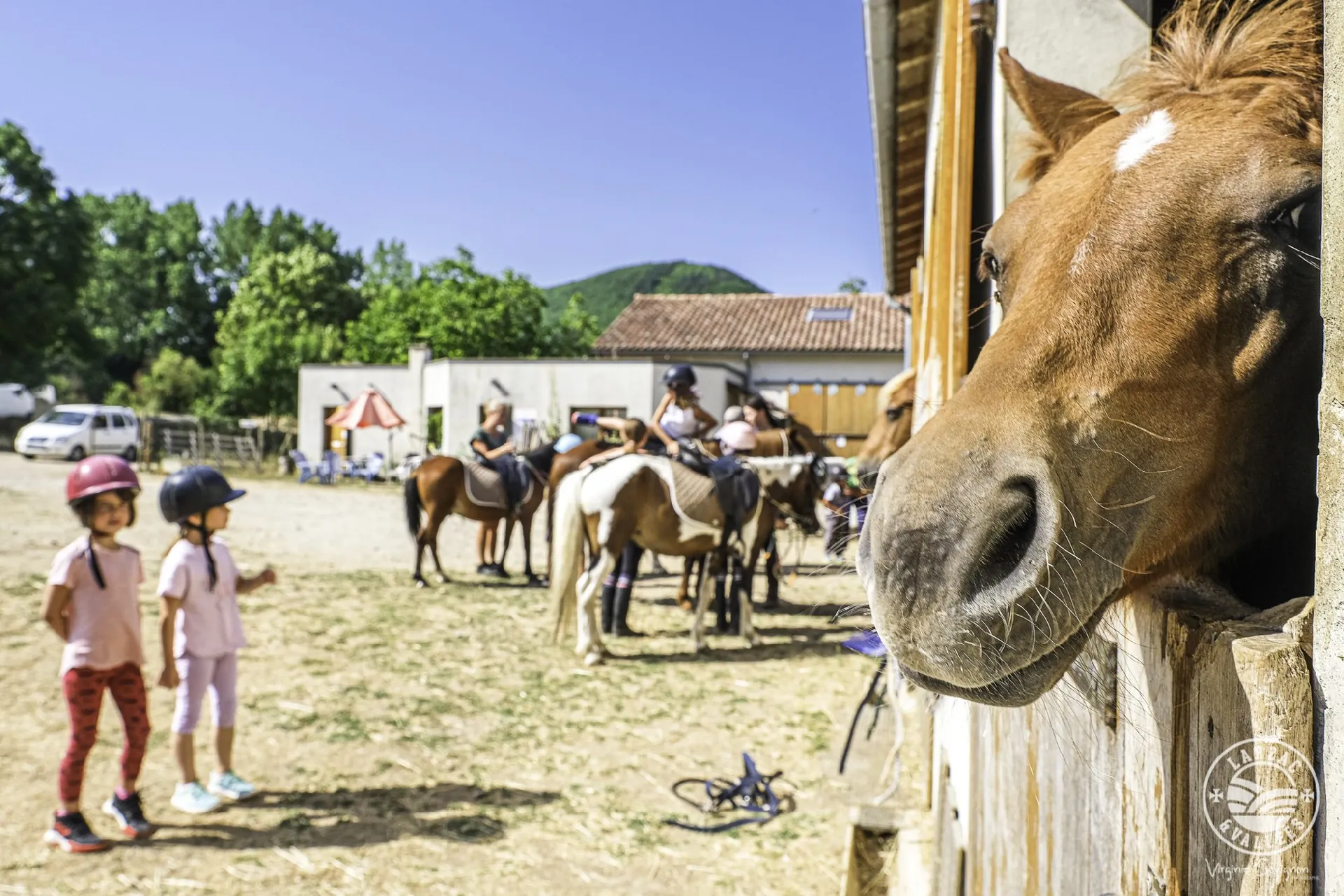 Poney Club Larzac et Vallées Elevage du Durzon