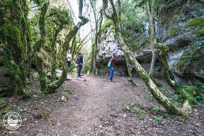 Les Canoles ou failles de Canalettes