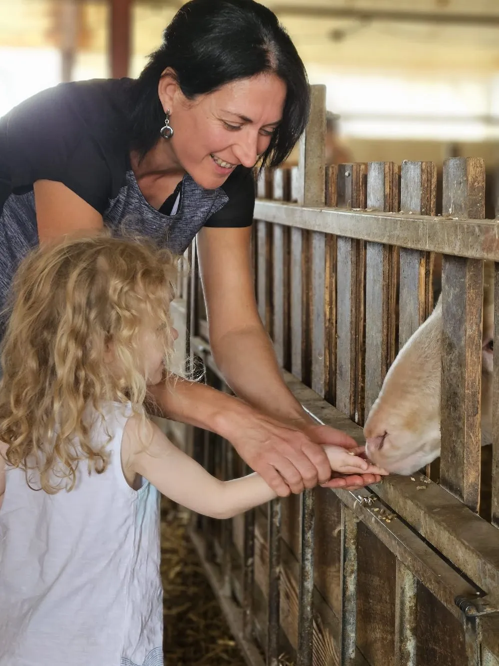 Visite à la ferme Chez Audrey et Thierry