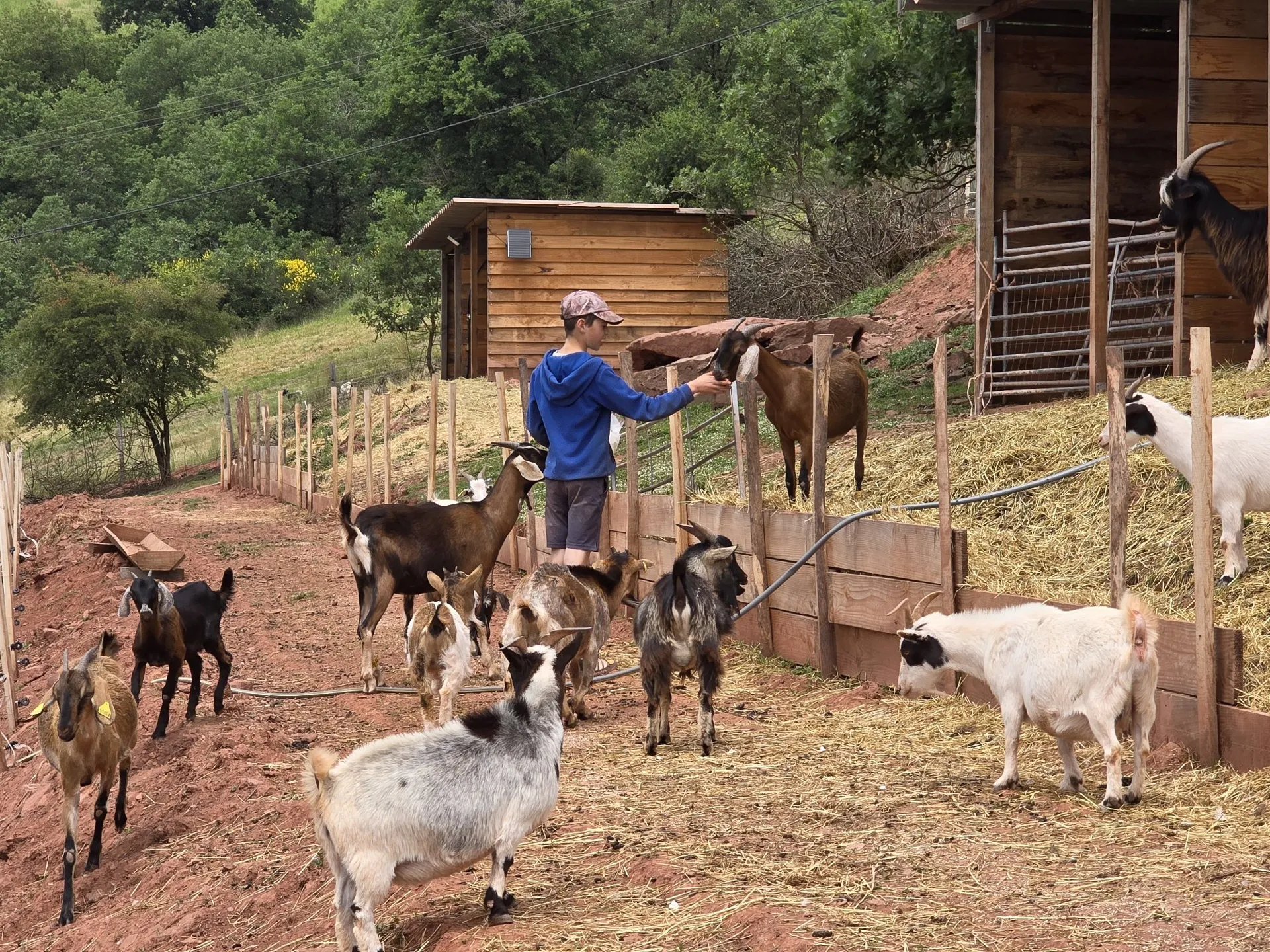 Visite à la ferme Chez Séverine et Daniel