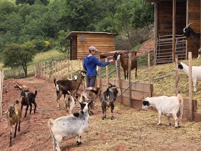 Visite à la ferme Chez Séverine et Daniel