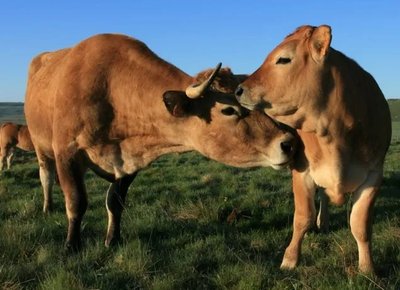 La Ferme des Clauzels