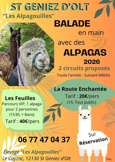 Les Alpagouilles - élevage d'alpagas