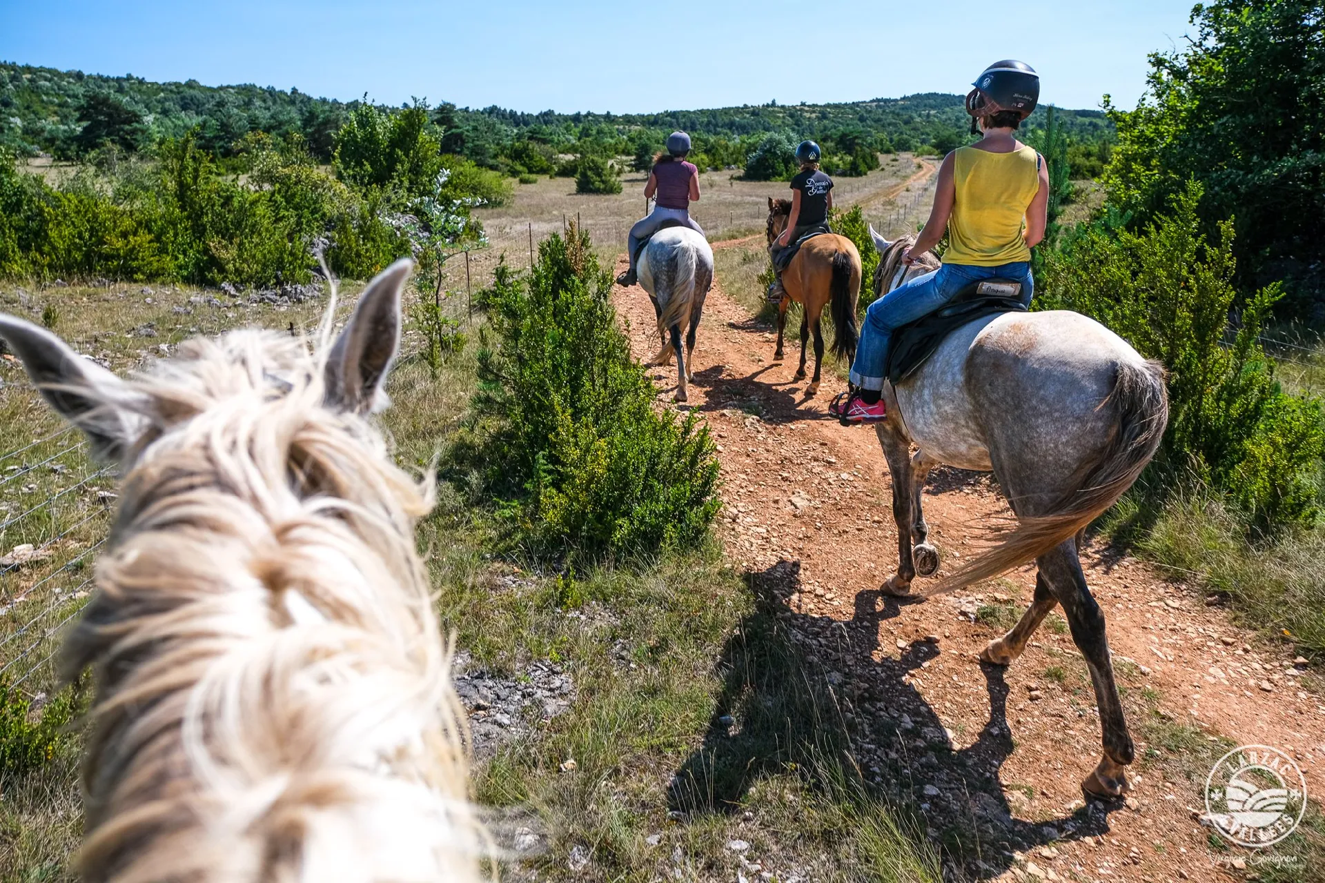 Domaine de Gaillac - balades à cheval