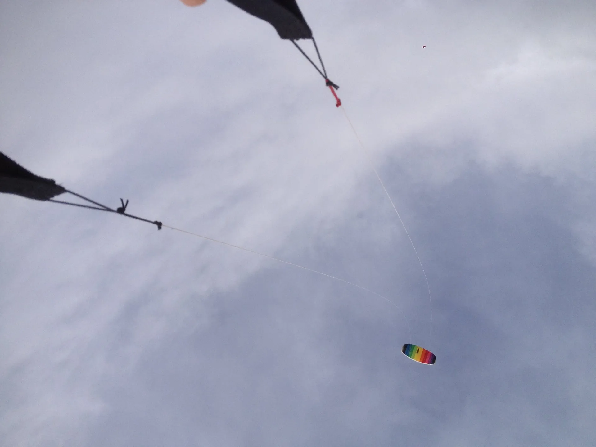 Bureau des accompagnateurs cerf-volant