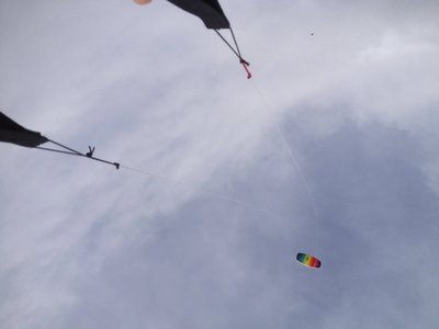 Bureau des accompagnateurs cerf-volant