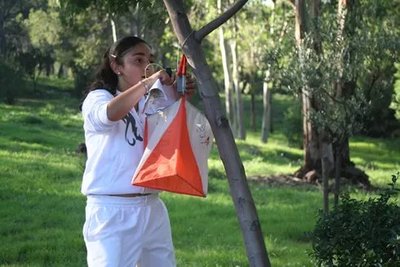 Bureau des Accompagnateurs Orientation