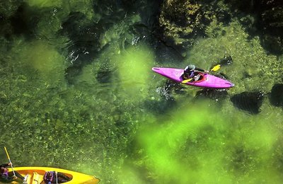 Bureau des accompagnateurs - sport adapté