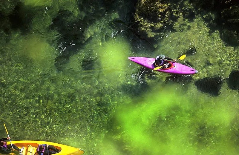 Bureau des accompagnateurs - sport adapté