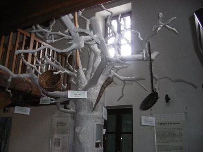 L'arbre à pain dans la première salle d'exposition