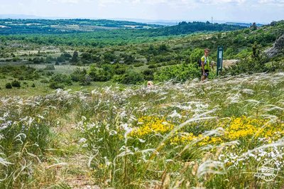 Cheveux d'ange sur le Larzac