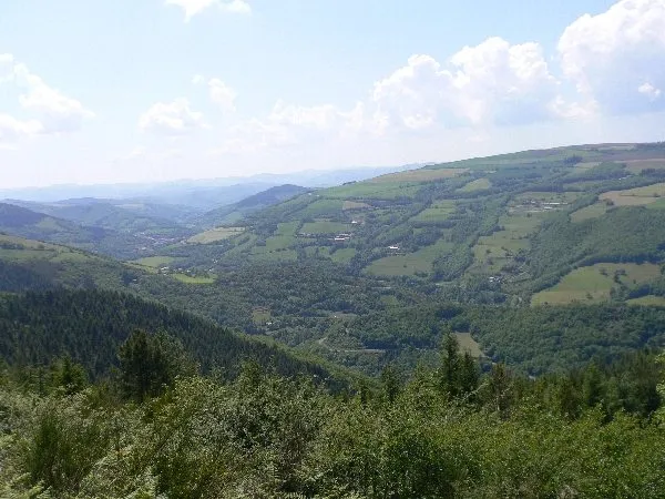Musée statues menhirs