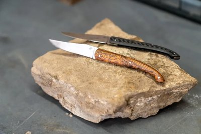 Modèle le "Compagnon"