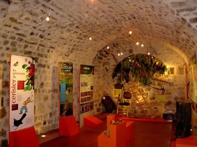 Musée de la Cerise - Vallée du Tarn