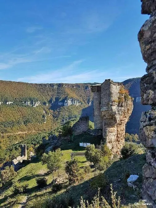 Château de Peyrelade