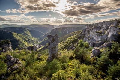 Poupées de roche dans les Gorges de la Dourbie