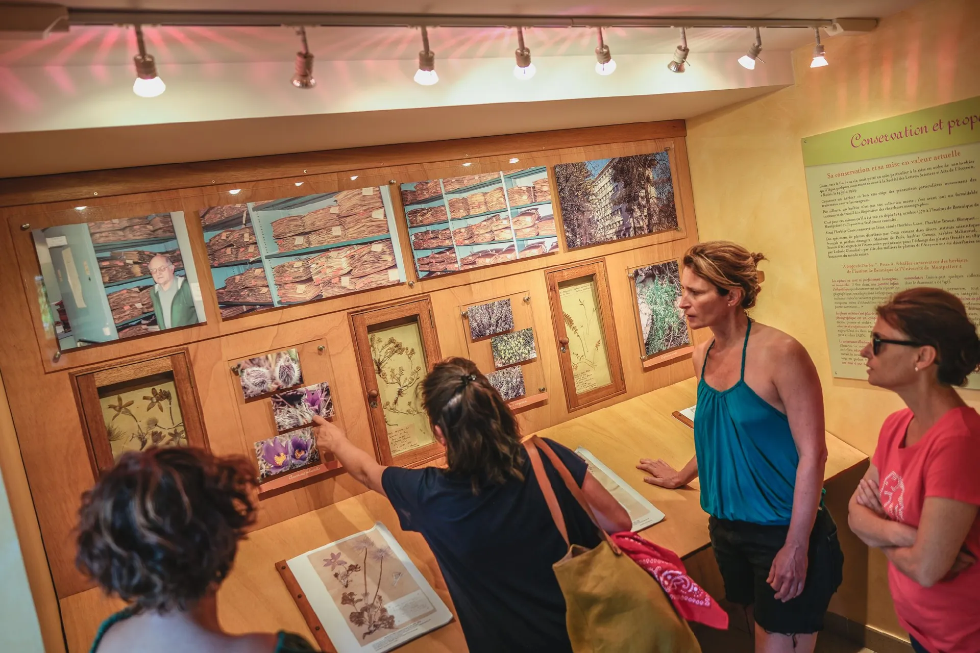 L'Espace botanique Hippolyte Coste