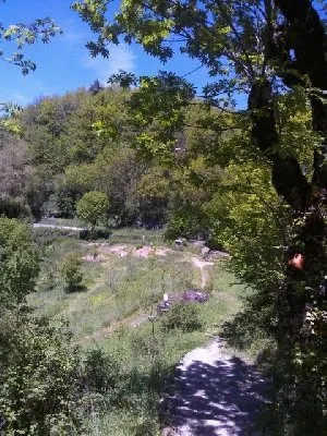 Jardin d'insectes dit du perce-oreille
