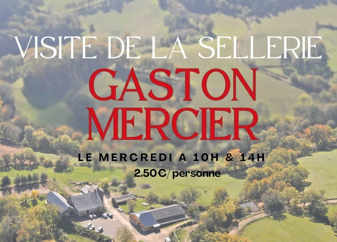 Sellerie Gaston Mercier - VISITES