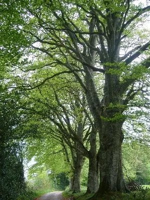 Sentier botanique des Arasses