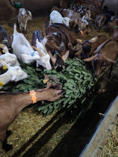 Gaec du Point Sublime