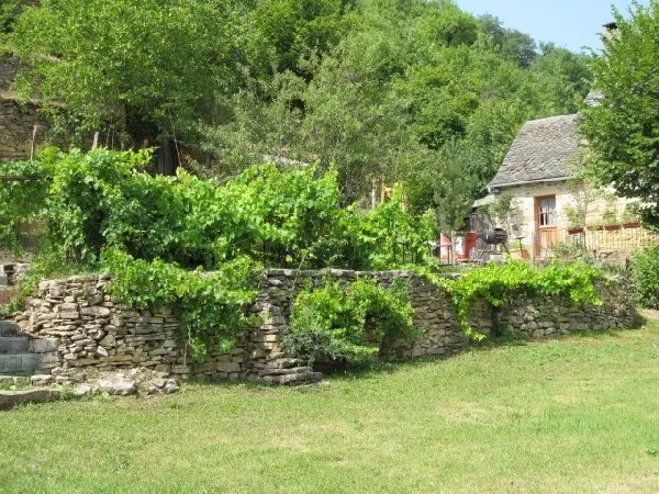 Gîte des Apis