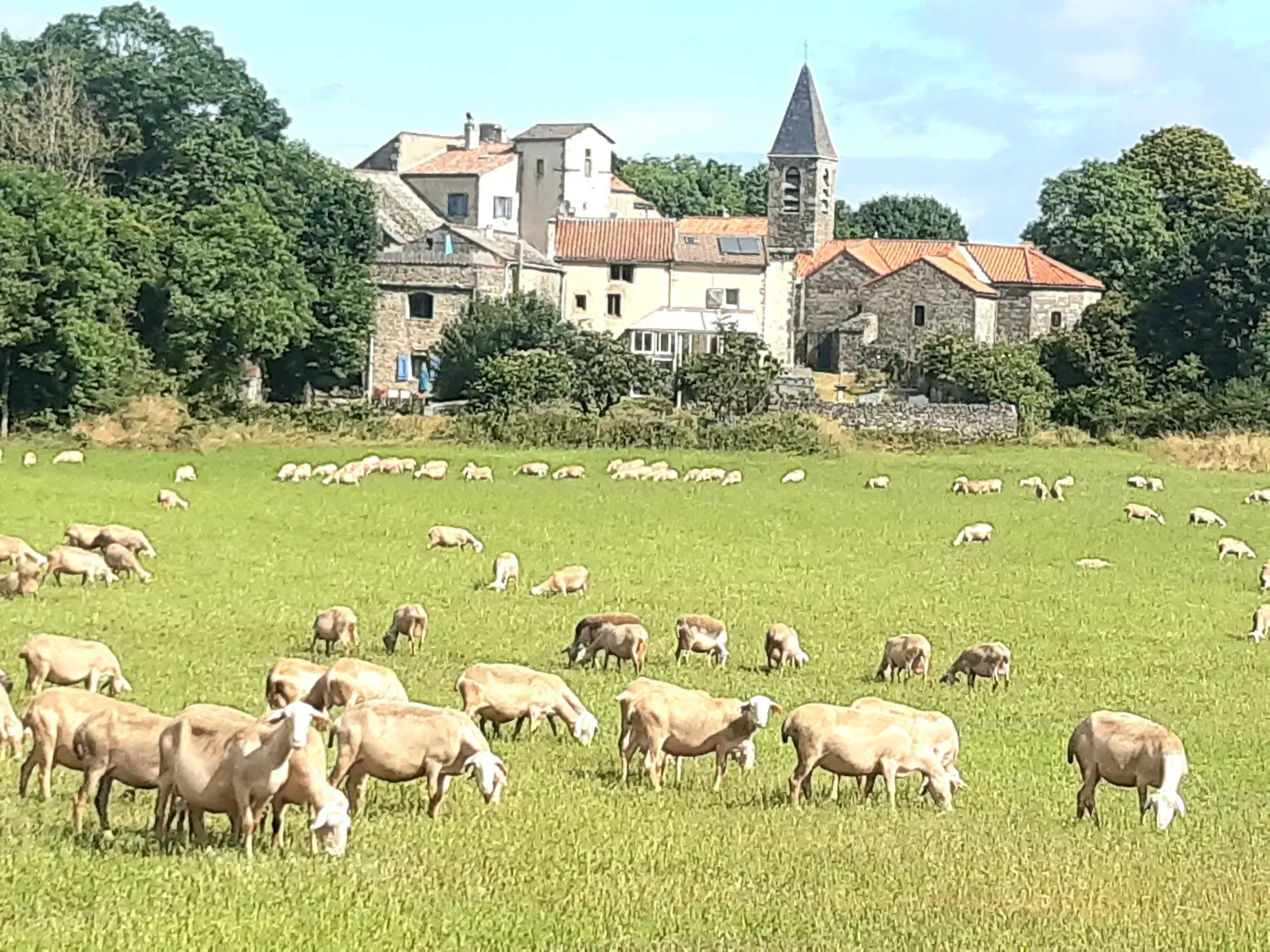 Vue du village de la Blaquèrerie à la Couvertoirade.