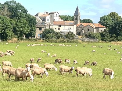 Vue du village de la Blaquèrerie à la Couvertoirade.