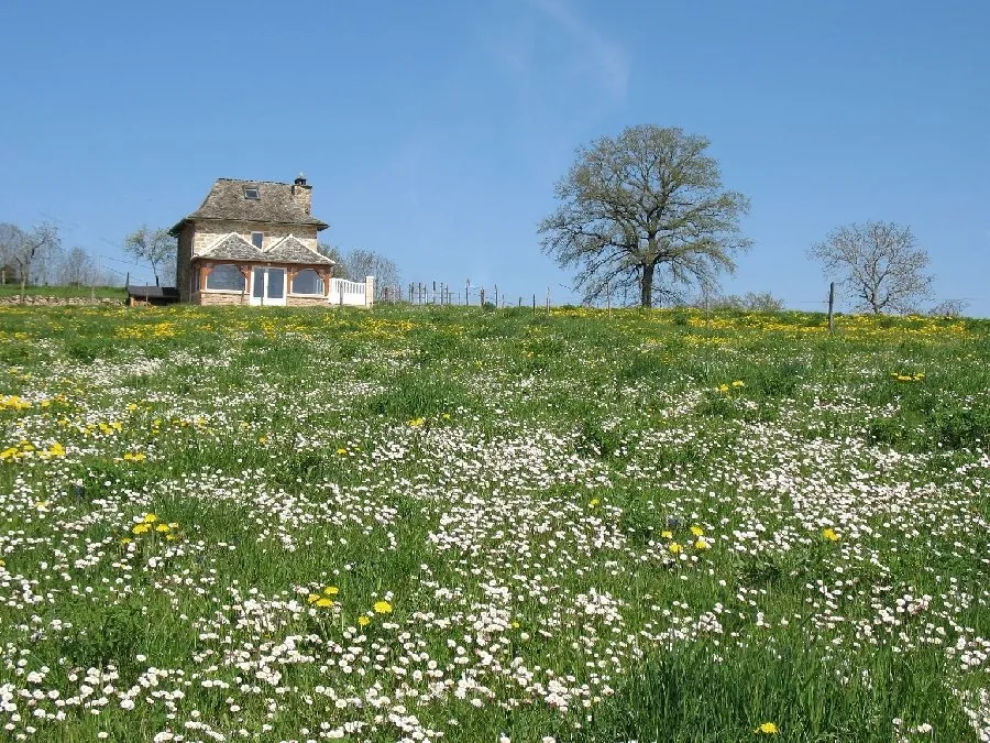 La Maison de Vigneron - H12G005411