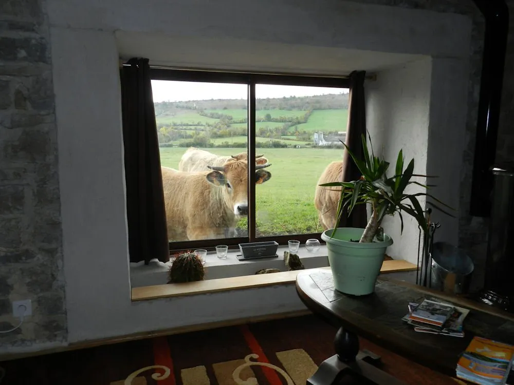 Le Clos des Lavandes - Gîte de la Bergerie