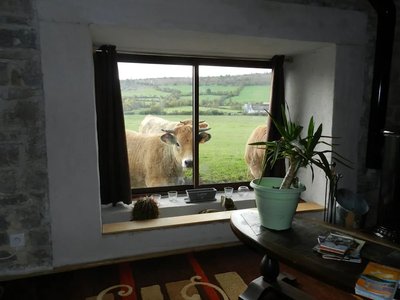 Le Clos des Lavandes - Gîte de la Bergerie