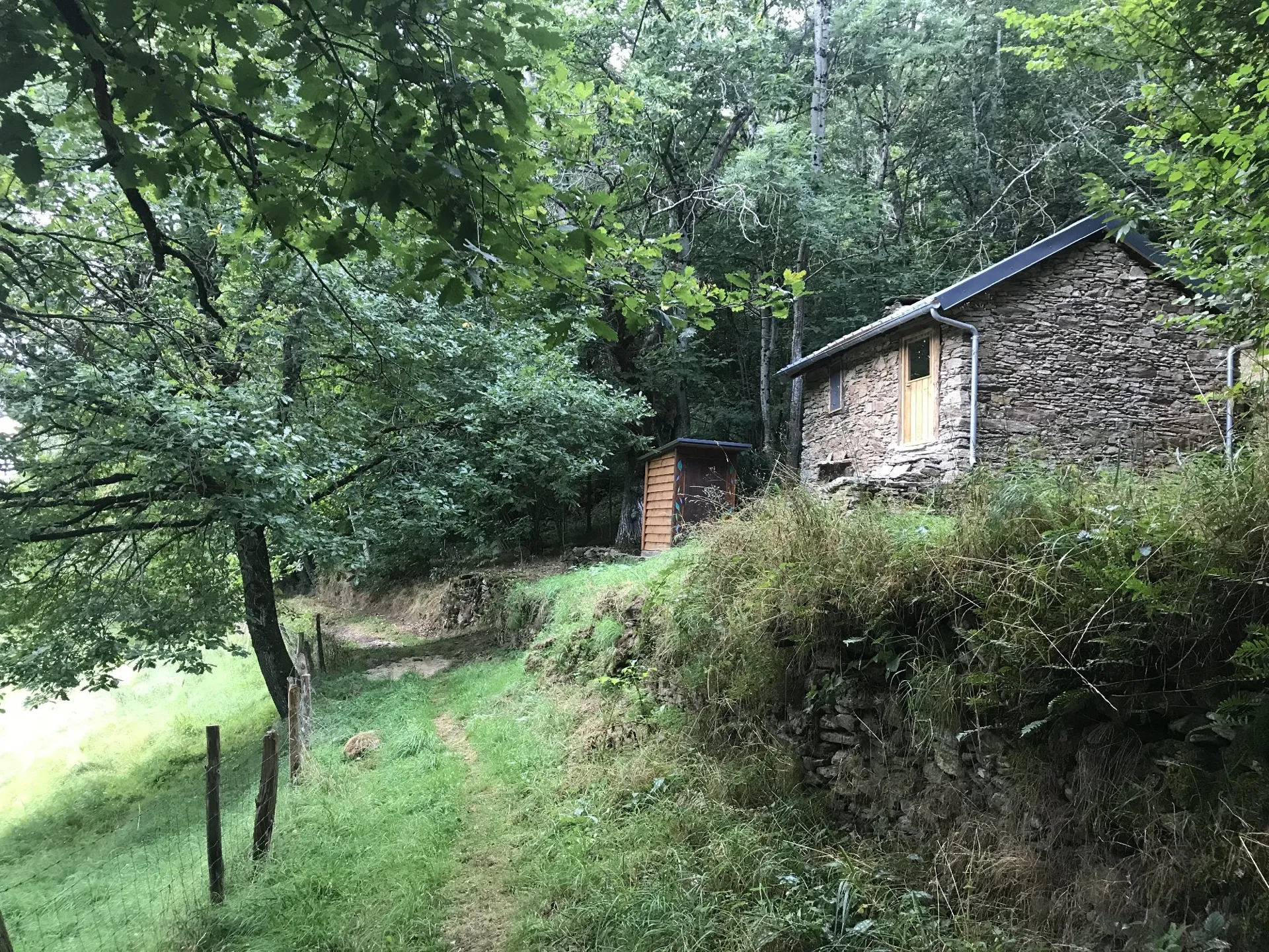 Refuge dans les bois