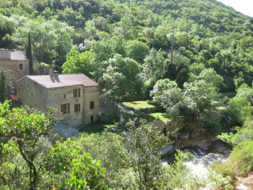 MME DUTHOIT BRIGITTE (1)